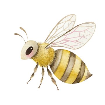 Cute watercolor illustration of a friendly honey bee with pink cheeks isolated on white background
