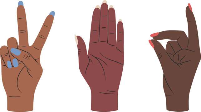 Diverse female hands counting numbers with skin tones and colorful manicure, vector illustration