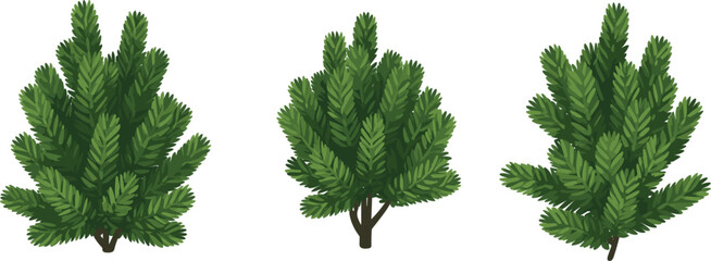 Green pine branch bush bushes set, isolated coniferous evergreen tree element vector illustration © Sayed Creative