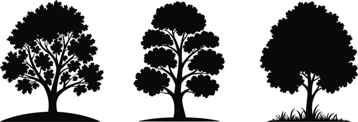 Fototapeta premium Black deciduous tree silhouettes set on white background, nature landscape element vector illustration