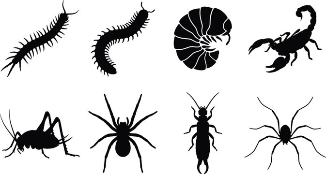 Arthropod Silhouette Collection with Centipede Scorpion Spider and Insect Vector Icons