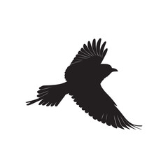 Obraz premium Flying Black Bird Silhouette Against White Background in Minimalist Style