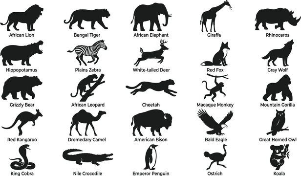 Black and white of 28 wild animals, including lions, elephants, and tigers african lion bengal tiger