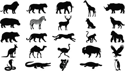 Fototapeta premium Black and white of various animals including mammals, birds, and reptiles