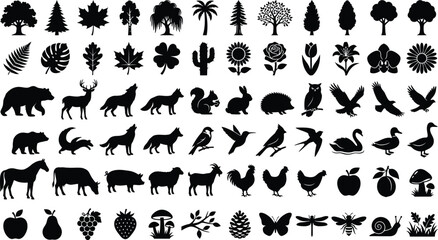 Black and white of various animals, birds, and insects in a grid layout © Graphic Shops