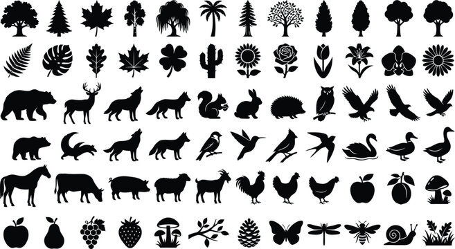 Black and white of various animals, birds, and insects in a grid layout
