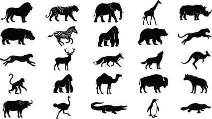 Fototapeta premium Black and white of various animals, including mammals, birds, and reptiles