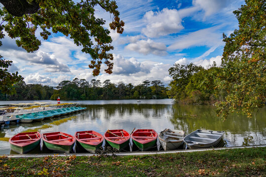A temporary marina and moored boats on a pond in the Silesian Park in Chorz&oacute;w in Poland