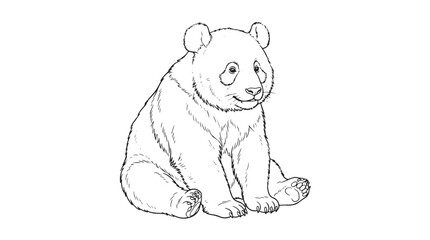 Giant panda bear line art illustration, hand drawn black and white panda sketch, cute sitting panda vector for coloring book and educational design © Toqeer