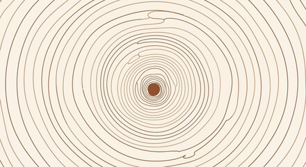 Fototapeta premium Tree ring pattern, abstract wood grain, natural circle background