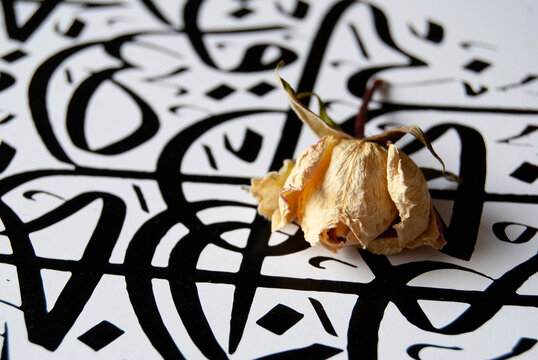 Delicate dried botanical resting on Arabic text, combining floral beauty with traditional script in a refined still life.