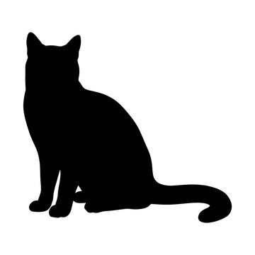 Black cat silhouette, feline icon, pet vector, animal shape isolated on White Background silhouette