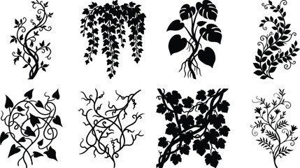 Botanical Vine Silhouette Collection with Floral Branches Ivy Leaves and Decorative Climbing Plants © MSTNASRIN