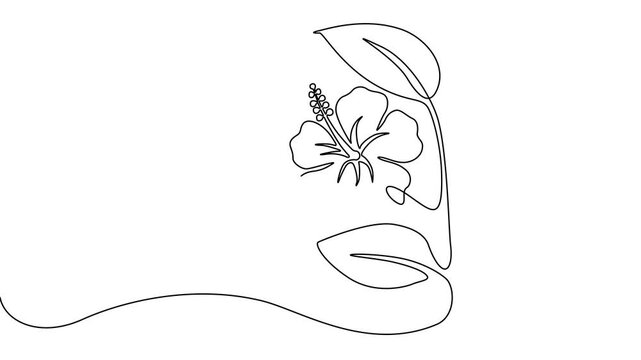 flower isolated on white background