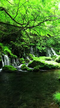 元滝伏流水