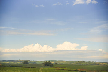 Naklejka premium Pampa Biome of Rio Grande do Sul.