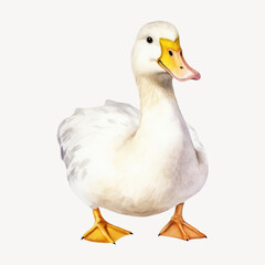 Fototapeta na wymiar Cute duck animal, watercolor illustration