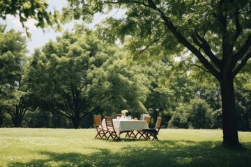 Obraz premium Park furniture outdoors woodland.