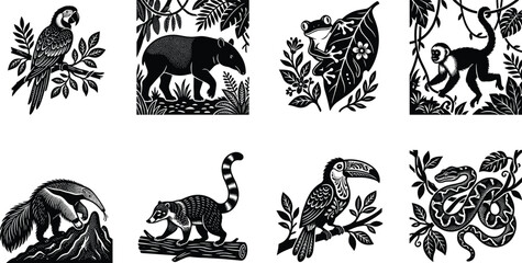 Black and white rainforest animals linocut vector set featuring macaws tapir tree frog monkey anteater coati toucan and snake © Rahen