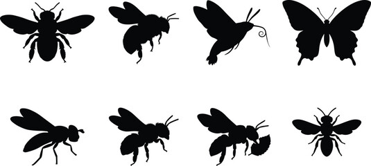 Collection of flying insect silhouettes featuring honey bees bumblebee hummingbird moth butterfly and common house fly in image_22fa01.png © MstRehna