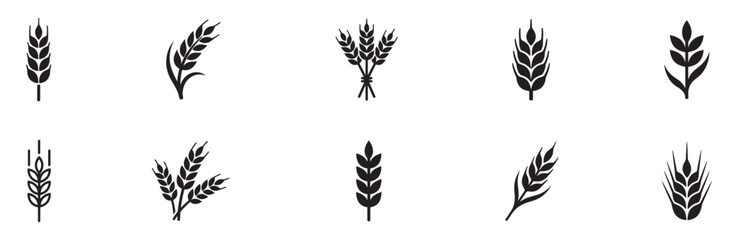 Wheat ears icon set. Barley agriculture stalk symbol. Whole grain cereal logo. Organic farm harvest sign. Vector illustration. Vector Graphic. EPS 10 © Jeremy_Show