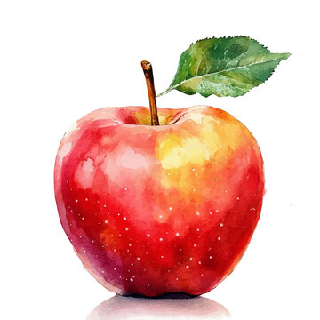 Apple, watercolor with intricate brush textures and gentle highlights, isolated on a white background.