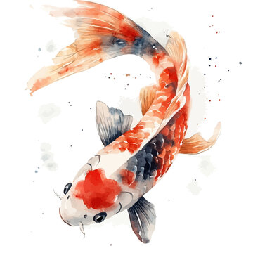 Akebi, illustration watercolor artwork with subtle gradients and elegant contours, isolated on a white background.