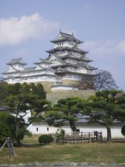 Fototapeta premium Japanese castle garden 