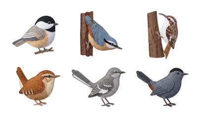 Collection of Felt Fabric North American Woodland Bird Illustrations Featuring Detailed Textural Effects on Six Distinct Avian Species © OKM Studio