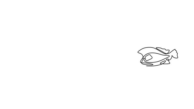 Animated self drawing of continuous line draw. contour heart for  Cod, Salmon and Tilapia Fish. Full length one line animation. 4K	