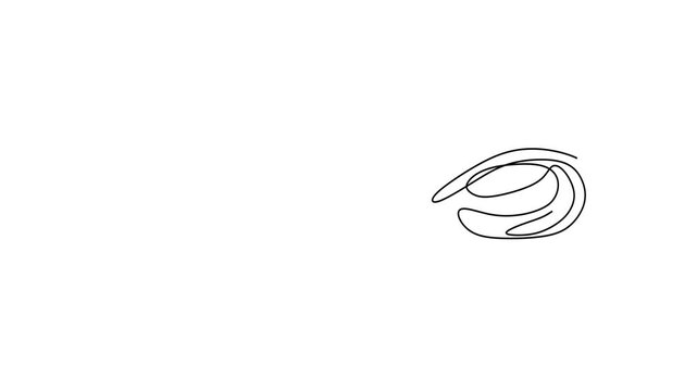 Animated self drawing of continuous line draw. contour heart for Seashells Snail Scallop and Mussel.     Full length one line animation. 4K	