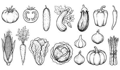 Hand drawn summer vegetable icon set with tomato cucumber eggplant corn and harvest produce sketch isolated on white background © Aktaruzzaman
