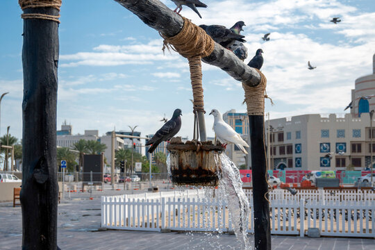 Doha, Qatar - Souq Waqif is a souq in Doha, in the state of Qatar. The souq is known for selling traditional garments, spices, handicrafts, and souvenirs