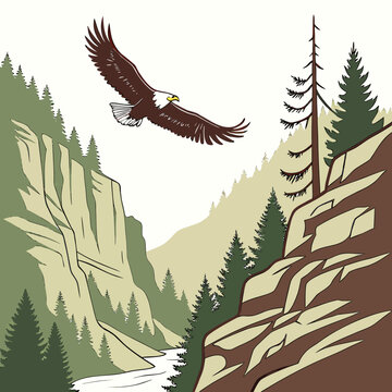 Soaring bald eagle over mountain canyon landscape illustration with mountain landscape wildlife wilderness illustration mountainous evergreen