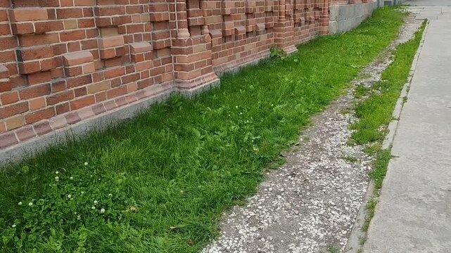 Historic red brick wall with grass and gravel path for architecture blogs, urban design websites, landscaping clipart, and city walking presentations.