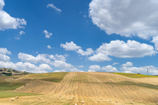 Harvested wheat field with hay bales and wind turbines in southern Italy
