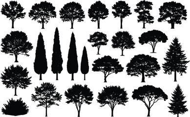 Fototapeta premium Tree silhouettes collection with diverse species and foliage patterns, vector illustration for landscape, nature, botanical, and creative design projects