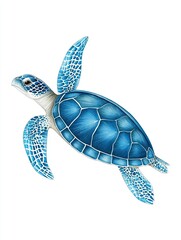 Fototapeta premium Illustration of a blue sea turtle swimming gracefully with detailed shell patterns and vibrant colors, showcasing aquatic life and marine biodiversity