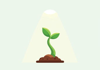 A green plant sprout grows from brown soil under a spotlight © Kuli