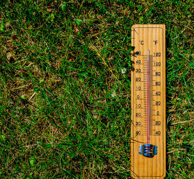 Wooden thermometer on dry, parched green grass showing high temperature during an extreme summer heatwave and drought.