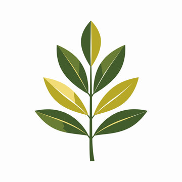 Green leafy plant with yellow tips.