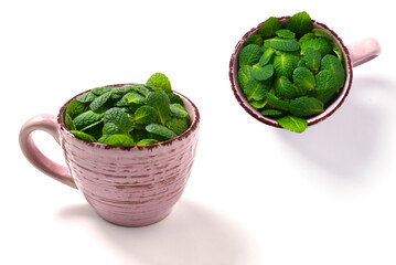 Mint leaves in a cup isolated on white background. © Nikolay