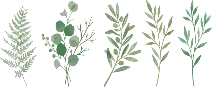 Watercolor Eucalyptus Branch and Fern Greenery Set with Olive Leaf Sprigs and Botanical Herbs for Rustic Elegant Wedding Invitation Designs