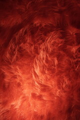 Obraz premium Red, fuzzy fabric texture, background