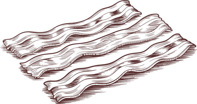 Vintage hand drawn bacon strips vector illustration, retro engraved style fried bacon slices, rustic meat breakfast food sketch on white background