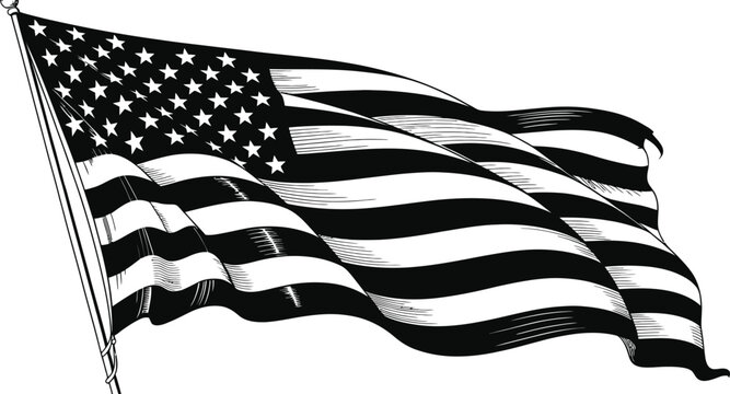 American flag, USA flag, black and white flag, waving flag, vector flag