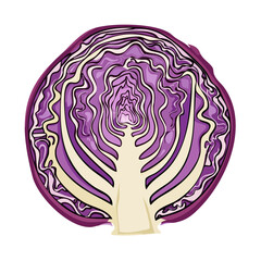 Obraz premium Vibrant cross section of fresh red cabbage showcasing intricate leaf patterns and core structure