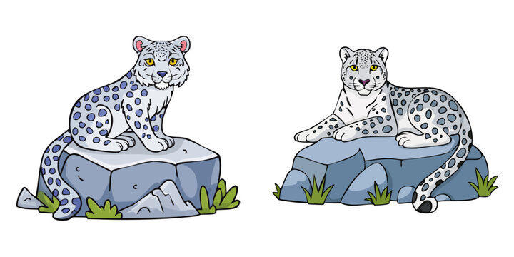 Set of two cartoon snow leopards sitting and lying on rocks with grass