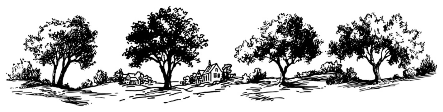 Leafy deciduous trees on grassy hills summer landscape hand drawn vintage vector sketch