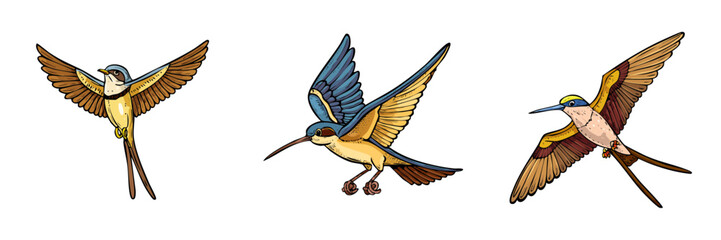 Fototapeta premium Set of three stylized flying birds with colorful plumage and wings spread